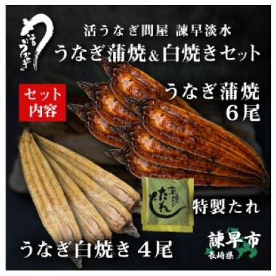 ふるさと納税 諫早市 うなぎ蒲焼6尾白焼き4尾セット - 魚