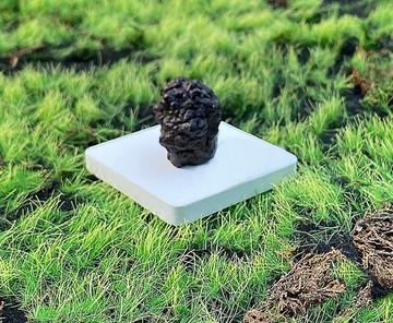 天然埃及預言石造型原礦 心靈平靜石 平撫情緒 快速出貨