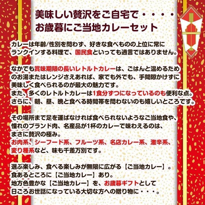 お歳暮カレーセット 王道ご当地カレー11種セット 御歳暮ギフト