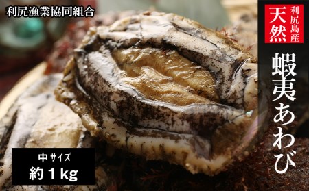 利尻島産 天然蝦夷あわび １ｋｇ＜中＞（80g～100gサイズ）＜利尻漁業協同組合＞