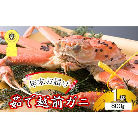 ふるさと納税 茹で越前ガニ食通もうなる本場の味をぜひ、ご堪能ください。約800g以上×1杯 越前がに 越前かに 越前カニ ずわ.. 福井県若狭町