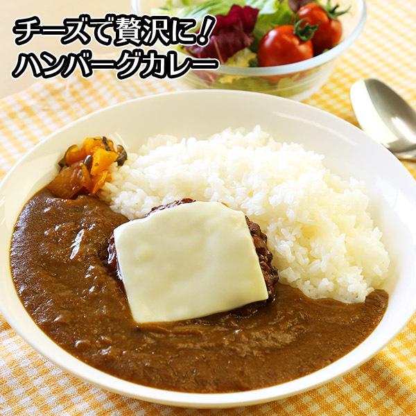 日本食研 カレー レトルト 食研カレー セット 4食 メール便 ポイント消化 送料無 レトルトカレー レトルト 食品 お取り寄せ グルメ