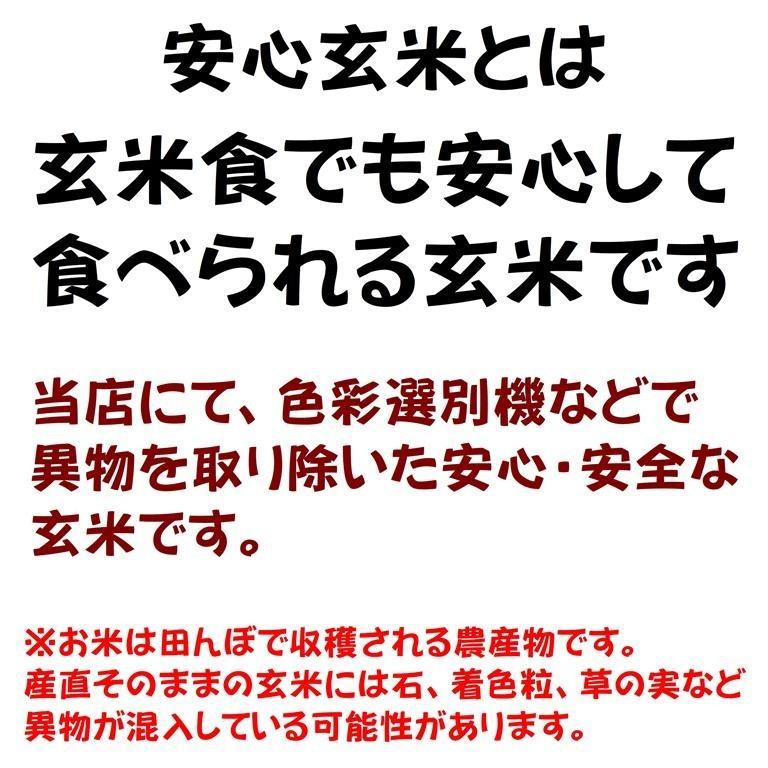 新米令和5年産　仁多米『まき』玄米1kg　〜馬木地区限定の仁多米〜