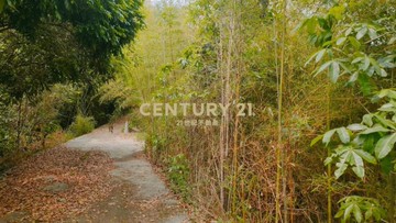 南投土地-集集綠色隧道旁農地｜南投縣集集鎮隘寮段