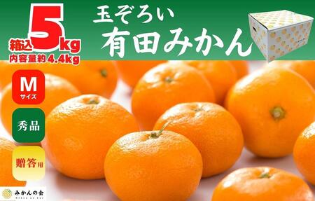 みかん Ｍサイズ 秀品 箱込 5kg (内容量約 4.4kg) 玉そろえたんじゃ 和歌山県産 有田みかん 贈答用 