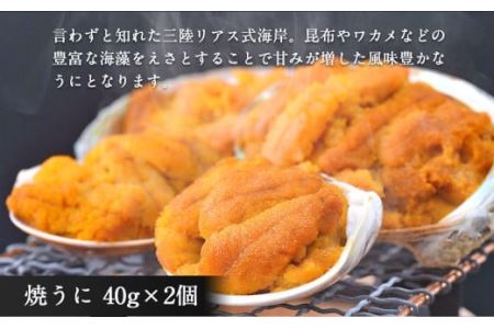 八戸 うに 2種セット 粒うに (紫) 焼うに