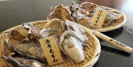 厚岸産『 カキえもん 』『 マルえもん 』 食べ比べセット (レモン汁・ポン酢付)  北海道 牡蠣 カキ かき 生食用 生牡蠣 殻付 食べ比べ