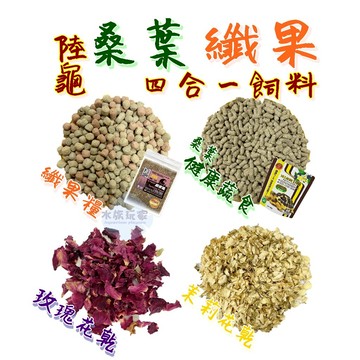 桑葉纖果四合一 陸龜飼料 蘇卡達 豹紋陸龜 赫曼 星龜 烏龜飼料 高夠力 陸龜健康蔬食 絕色 纖果糧 100g