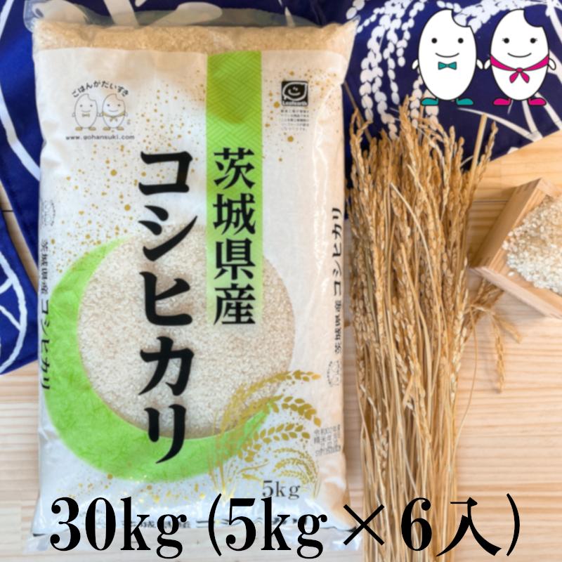 お米 30kg(5kg×6) 茨城コシヒカリ 令和5年産