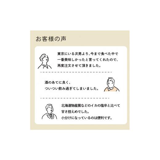 ふるさと納税 岩手県 大船渡市 イカ塩辛 1kg 200g×5パック イカ いか 塩辛 小分け 冷凍 海産物 イカの塩辛 烏賊 三陸産 塩 釣り 辛い ご飯 おかず 夕飯 夕ご…