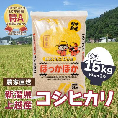 ふるさと納税 上越市 令和5年産|新潟県上越市浦川原産|極上の雪国米 コシヒカリ15kg(5kg×3)玄米