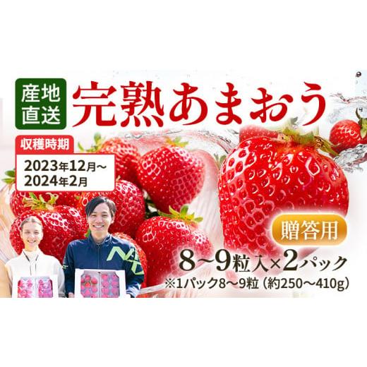 ふるさと納税 福岡県 田川市 福岡県田川市産 あまおう（8粒or粒9入り×2パック） いちご 苺