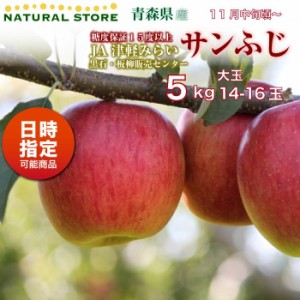 [予約 2023年11月20日-12月31日の納品]  サンふじ 14玉-16玉 大玉 約5kg 青森県産 JA津軽みらい 板柳販売 黒石販売 冬ギフト お歳暮 御歳