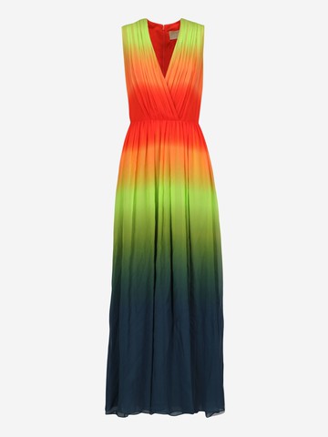 Elie Saab Long Dress