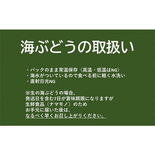 ふるさと納税 沖縄県 糸満市 ぷちぷち海ぶどう300g