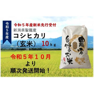 ふるさと納税 聖籠町 新潟県聖籠産玄米コシヒカリ 10kg