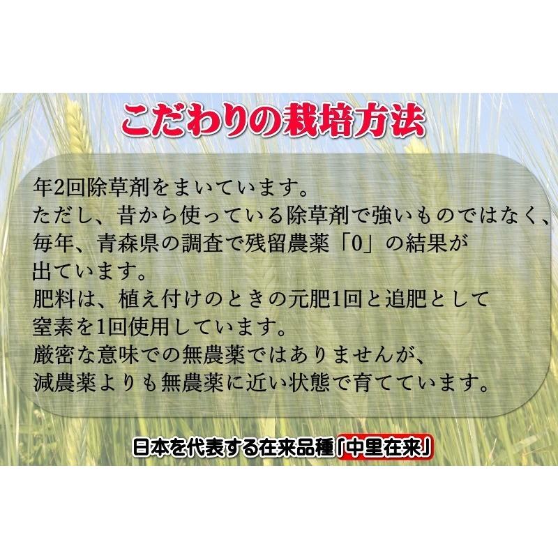 ハトムギ  精白 ハトムギ 玄麦 玄ハト 送料無料 はとむぎ 青森県産 5kg 業務用 はと麦 ハトムギ 精白はとむぎ 雑穀米 健康 美容 ヨクイニン 利水作用 むくみ