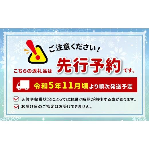 ふるさと納税 長野県 千曲市 りんご ふじ 3kg