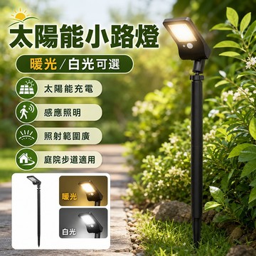 台灣現貨🌟太陽能燈 LED太陽能小路燈 花園草坪燈 照明感應燈 戶外燈 地插燈 太陽能感應燈 人體感應燈 庭院燈 小路燈