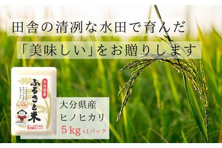 A-194 令和5年度米 大分県産米 ひのひかり 5kg