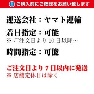 新米 山形県産 つや姫 無洗米 キューブ 2合(300g) 3個セット 令和５年度産 (お土産 自宅用 ブランド米)