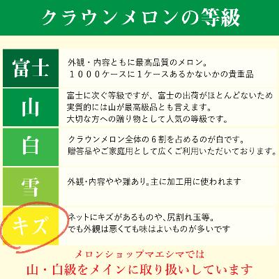 ふるさと納税 浜松市 クラウンメロン ワケありメロン6玉入り