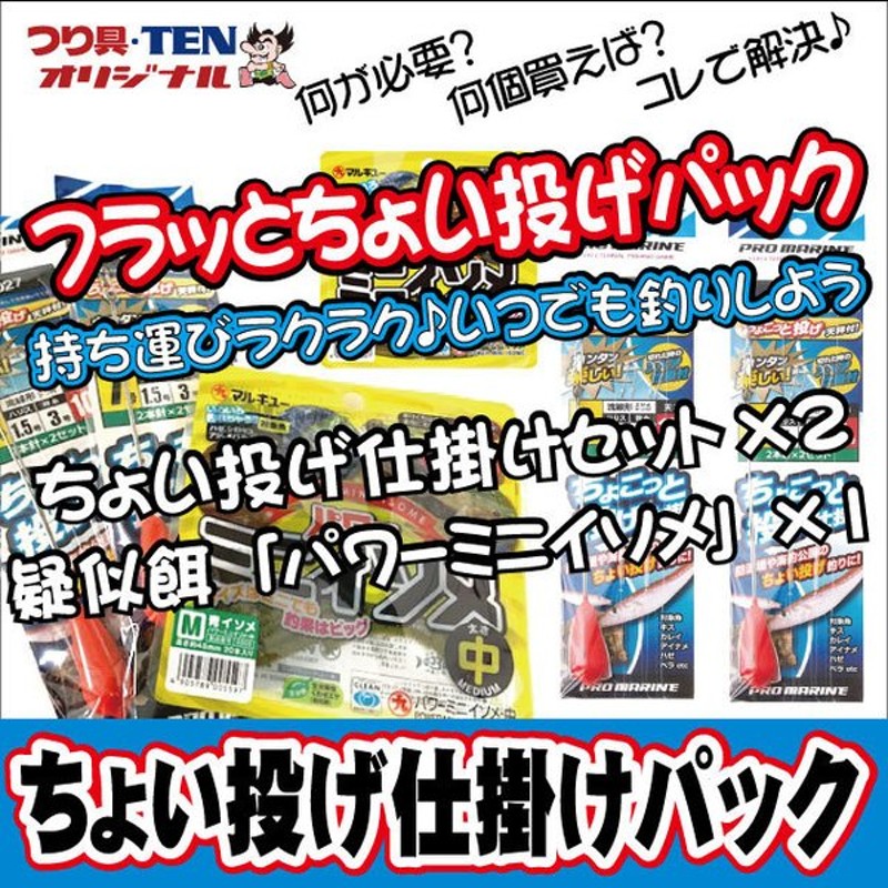 ちょい投げ釣り 仕掛け１人 ２人用 １dayパック 投げ仕掛け 天秤オモリ パワーイソメ 釣りセット 初心者オススメ１日パック 通販 Lineポイント最大0 5 Get Lineショッピング