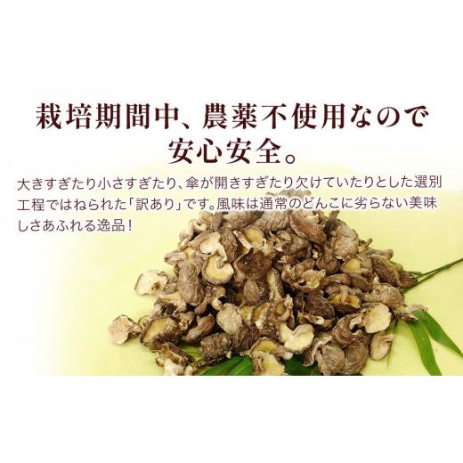 ふるさと納税 大分県 津久見市 乾燥椎茸 訳あり 椎茸100g×5パック 干し椎茸 しいたけ 乾燥しいたけ 原木 大分県 津久見市 九州産野菜