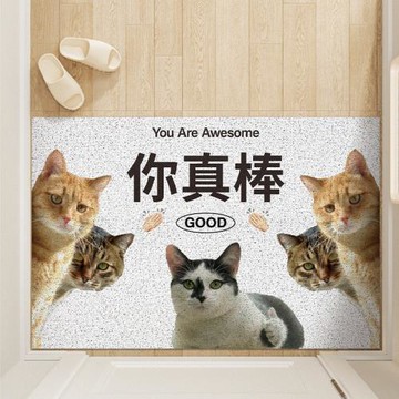 ins風網紅你真棒進門絲圈地墊刮泥蹭土家用玄關入戶門防滑地墊