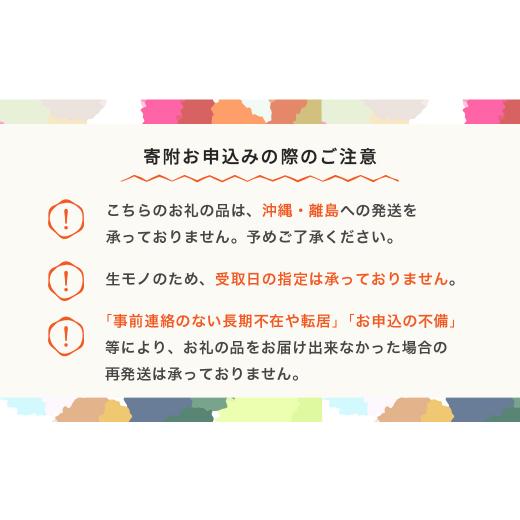 ふるさと納税 山形県 村山市 先行予約 さくらんぼ 紅秀峰 特秀2Lサイズ 300g 化粧箱鏡詰め 2024年産 令和6年産 山形県産 ns-bst2x300