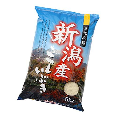 お米 5kg 新潟県産 こしいぶき 5kg 白米 令和4年産 精白米 農家直送 美味しいお米 ５キロ