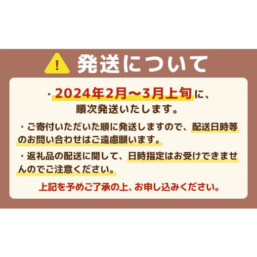 ふるさと納税 福岡県 宇美町 福岡県産 あまおうG以上 1500ｇ（6パック） 先行予約 2024年2月〜3月上旬発送予定　TY017