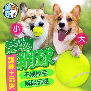 【歐豆K】寵物網球  狗狗玩具 狗狗訓練網球 寵物玩具 人寵互動網球 彈力球 解悶玩具球   超大網球  耐咬球
