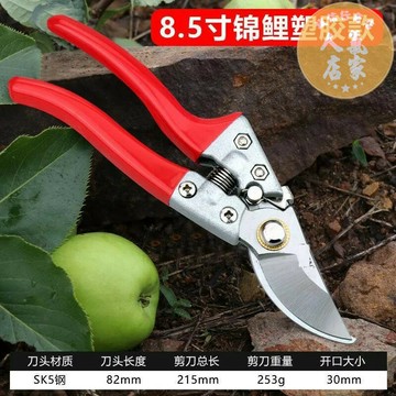 園藝剪刀 修枝剪 剪樹枝專用剪子水果花木家用修剪果樹修剪刀修枝剪花藝園藝剪工具