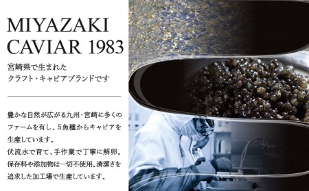 宮崎キャビア1983 20g 国産キャビア 無添加 高級 ギフト 卵 送料無料 宮崎県宮崎市_M017-027_01