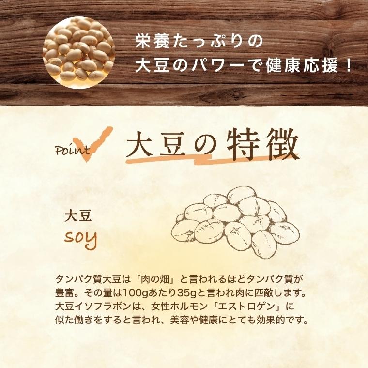 大豆 素煎り大豆 100g 製造直売 無添加 無塩 無植物油 ポイント消化 株式会社みの屋 素煎り大豆 グルメ