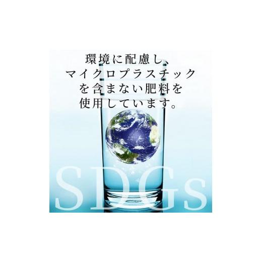 ふるさと納税 京都府 亀岡市 米 2品種 ヒノヒカリ・きぬむすめ 食べ比べ 5kg × 2袋 10kg 施肥技術指導員監修《新米 令和5年産》SDGs未来都市亀岡※着日指定不…