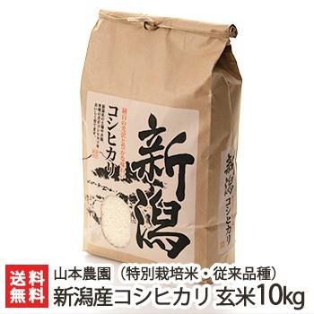特別栽培米（減農薬・減化学肥料）新潟産コシヒカリ（従来品種）玄米10kg 山本農園 ギフトにも！ のし無料 送料無料