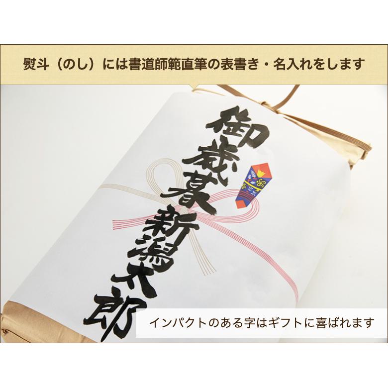 新潟産こしいぶき 精米5kg 酒遊館 辰藏 送料無料