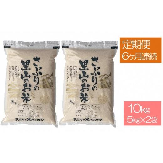 ふるさと納税 福井県 おおい町 定期便 さぶりの里山 お米 コシヒカリ 10kg（5kg×2袋）