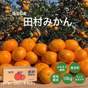 ふるさと納税 湯浅産　田村みかん　10kg　(サイズおまかせ) ※着日指定不可 ※北海道・沖縄・離島への配送不可 ※2023年11月下旬〜2024年1月下.. 和歌山県美浜町