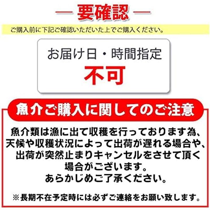 おおだブランド 一日漁の一夜干「銀山」 甘鯛、のどぐろ、白いかの3種を詰合せた豪華なギフト