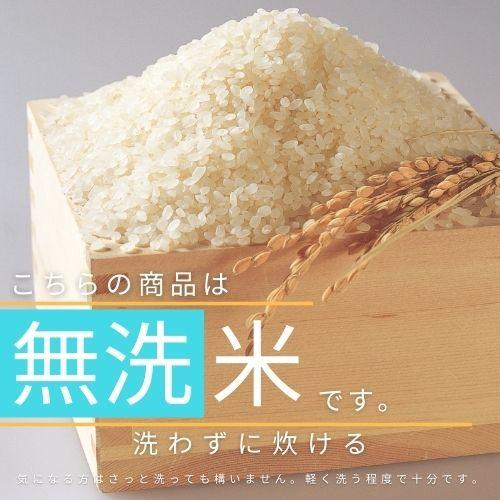 新米 米 お米 無洗米 10kg コシヒカリ こしひかり 新潟産  5kg×2袋 本州送料無料 令和5年産