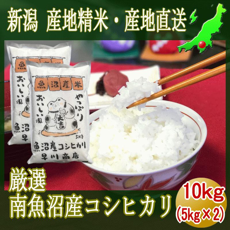 魚沼産コシヒカリ 10kg 5kg×2袋 南魚沼 塩沢 厳選 令和４年産 送料無料