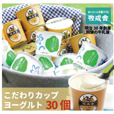 ふるさと納税 飛騨市 飛騨の牛乳屋・牧成舎の食べ応え抜群!飛騨のミルクで作るカップヨーグルトセット(2種合計30個)