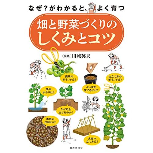 畑と野菜づくりのしくみとコツ（なぜ？ がわかると、よく育つ）