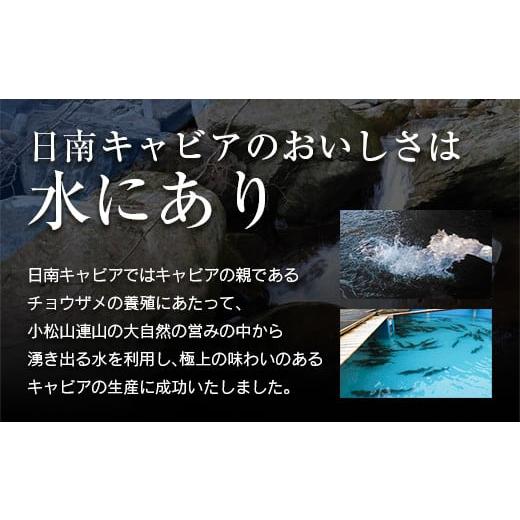 ふるさと納税 宮崎県 日南市 ≪数量限定≫スターレットキャビア(計20g)　魚　魚介　国産 CD29-21