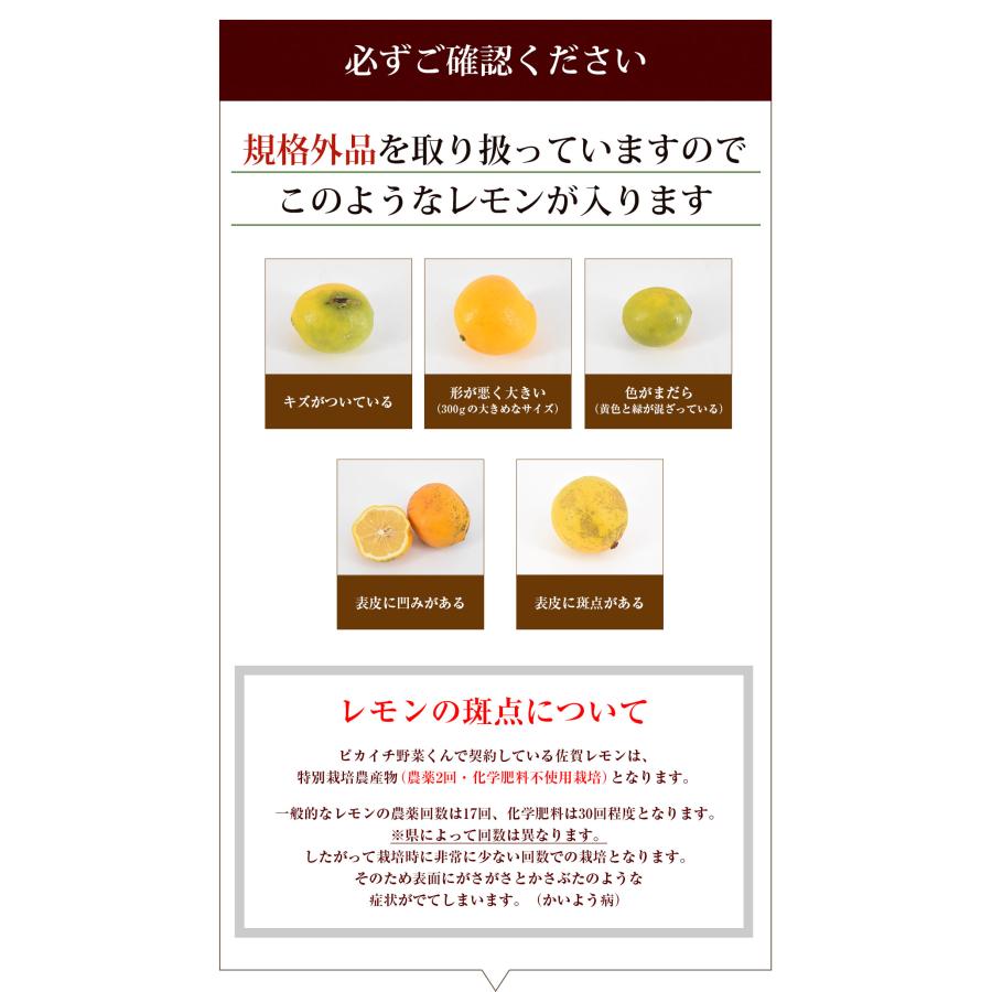 レモン 国産レモン 500g 佐賀県産 訳あり 特別栽培農産物 防腐剤防かび剤不使用 ゲルソン療法にも最適