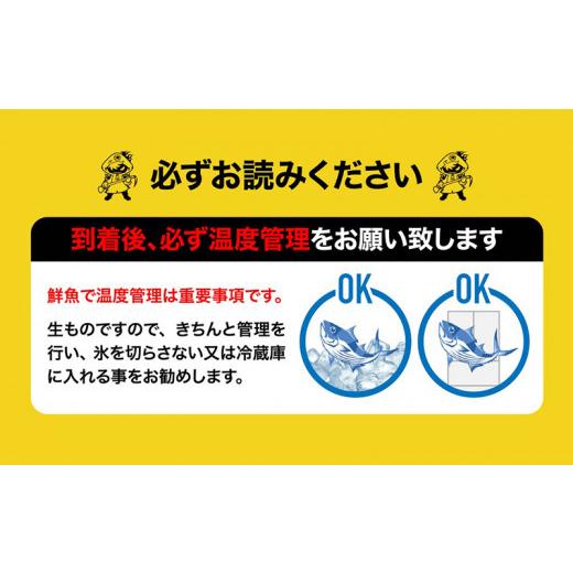 ふるさと納税 宮崎県 宮崎市 《津本式》西米良サーモン２尾 〜津本光弘本人仕立て〜_M135-005_03