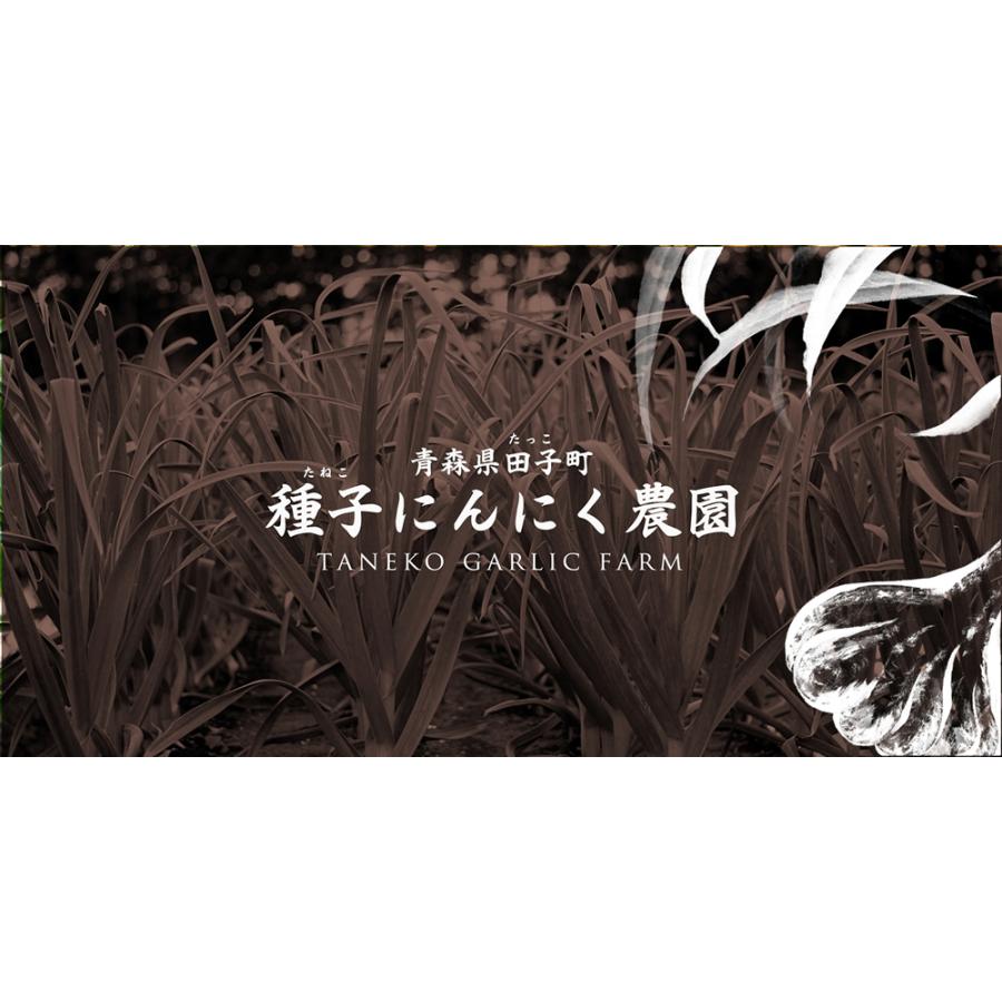 青森田子町 種子にんにく農園 にんにく農園が作る 鶏もも1本カレー 3個 送料無料 惣菜 レトルト 鶏肉 化学調味料不使用 本格 ニンニク